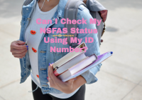 Can I Check My NSFAS Status Using My ID Number?my.nsfas.org.za login