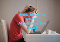 How Much Is NSFAS Allowance Per Year?