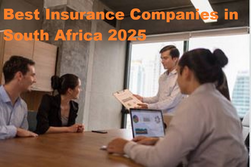 Top Insurance Companies in South Africa