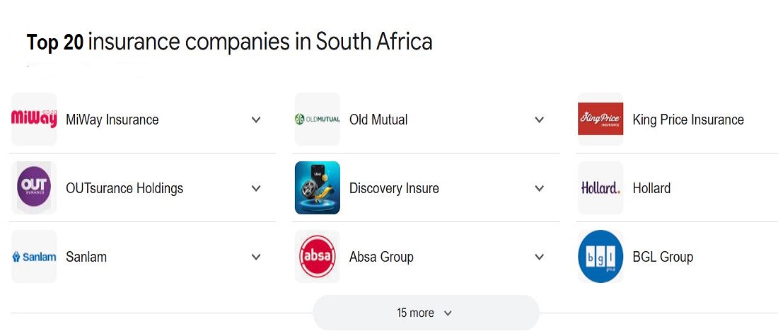 Biggest insurance companies in South Africa